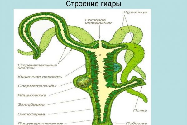 2krn ссылка